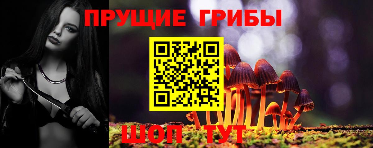 Псилоцибиновые грибы мицелий Назарово