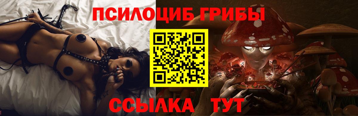 где найти наркотики  Галлюциногенные грибы GOLDEN TEACHER  Вход с VPN  Назарово 